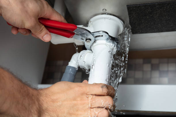 Best Basement water damage restoration  in Captain Cook, HI