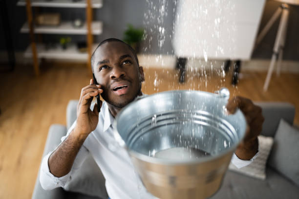 Best Flood restoration services  in Captain Cook, HI