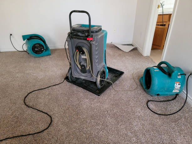 Best Commercial water damage restoration  in Captain Cook, HI