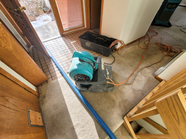 Water damage restoration process in Captain Cook, HI