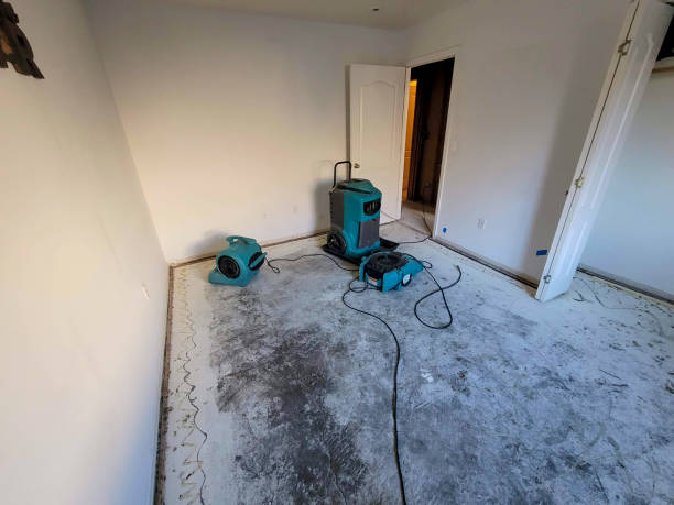 Best Sewage cleanup and water damage restoration  in Captain Cook, HI