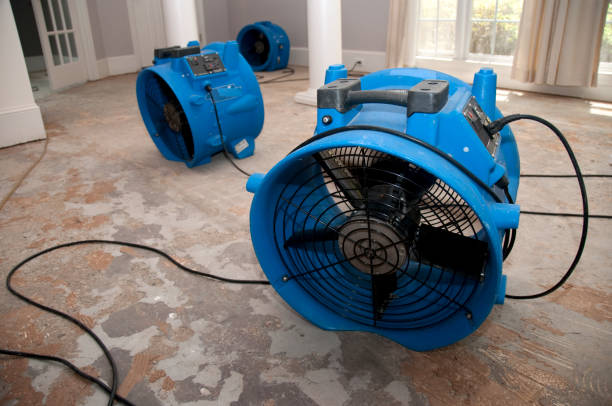 Best 24/7 water damage repair  in Captain Cook, HI
