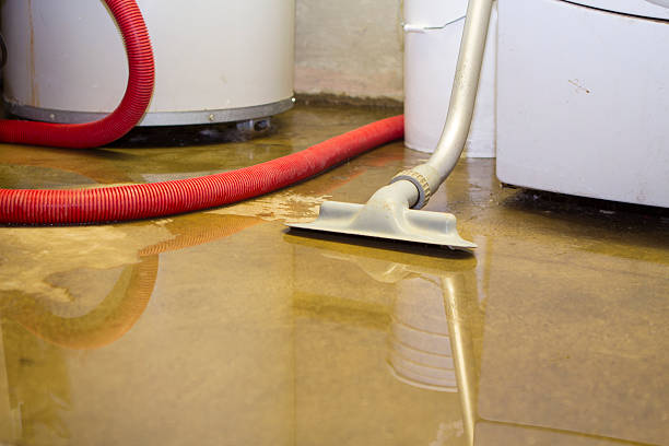 Best Flood damage cleanup  in Captain Cook, HI
