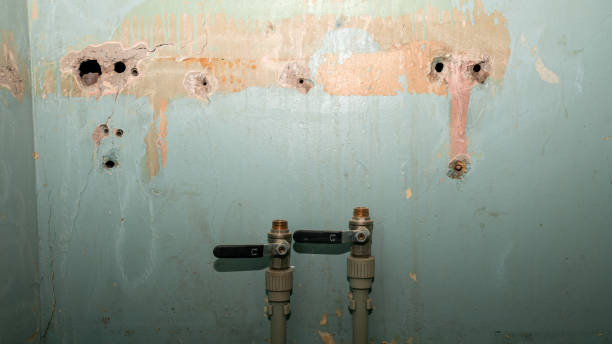 Best Water damage restoration insurance claims  in Captain Cook, HI
