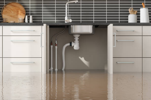Best Professional water damage repair  in Captain Cook, HI