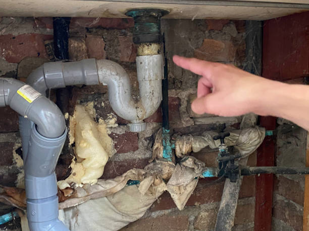 Best Residential water damage restoration  in Captain Cook, HI