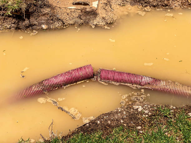 Best Local water damage restoration  in Captain Cook, HI